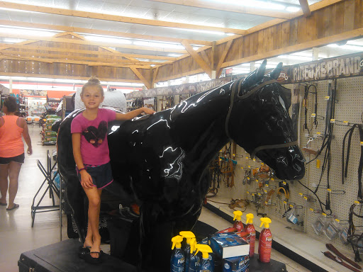 Shopping Mall «Hilltop Village Shopping Center», reviews and photos, 77 Hilltop Village Center Dr, Eureka, MO 63025, USA