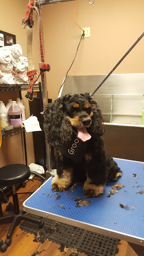 Pet Store «Pet Valu», reviews and photos, 2645 Shillington Rd, Sinking Spring, PA 19608, USA