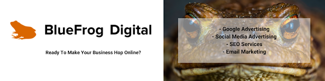 BlueFrog Digital | Digital Marketing Agency NZ - New Plymouth