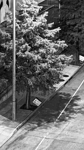 Thrift Store «Goodwill», reviews and photos, 3121 College Dr # B, Baton Rouge, LA 70808, USA