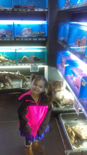 Pet Store «Cape Horn Pets», reviews and photos, 673 Lombard Rd, Red Lion, PA 17356, USA