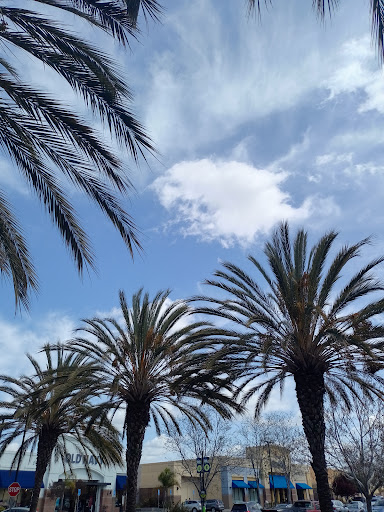 Department Store «Marshalls», reviews and photos, 39281 Fremont Hub, Fremont, CA 94538, USA