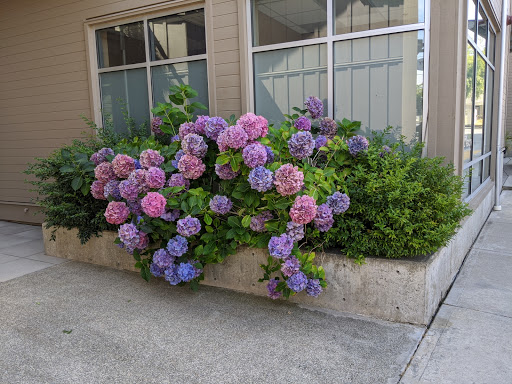 Art Museum «Bainbridge Island Museum of Art», reviews and photos, 550 Winslow Way E, Bainbridge Island, WA 98110, USA