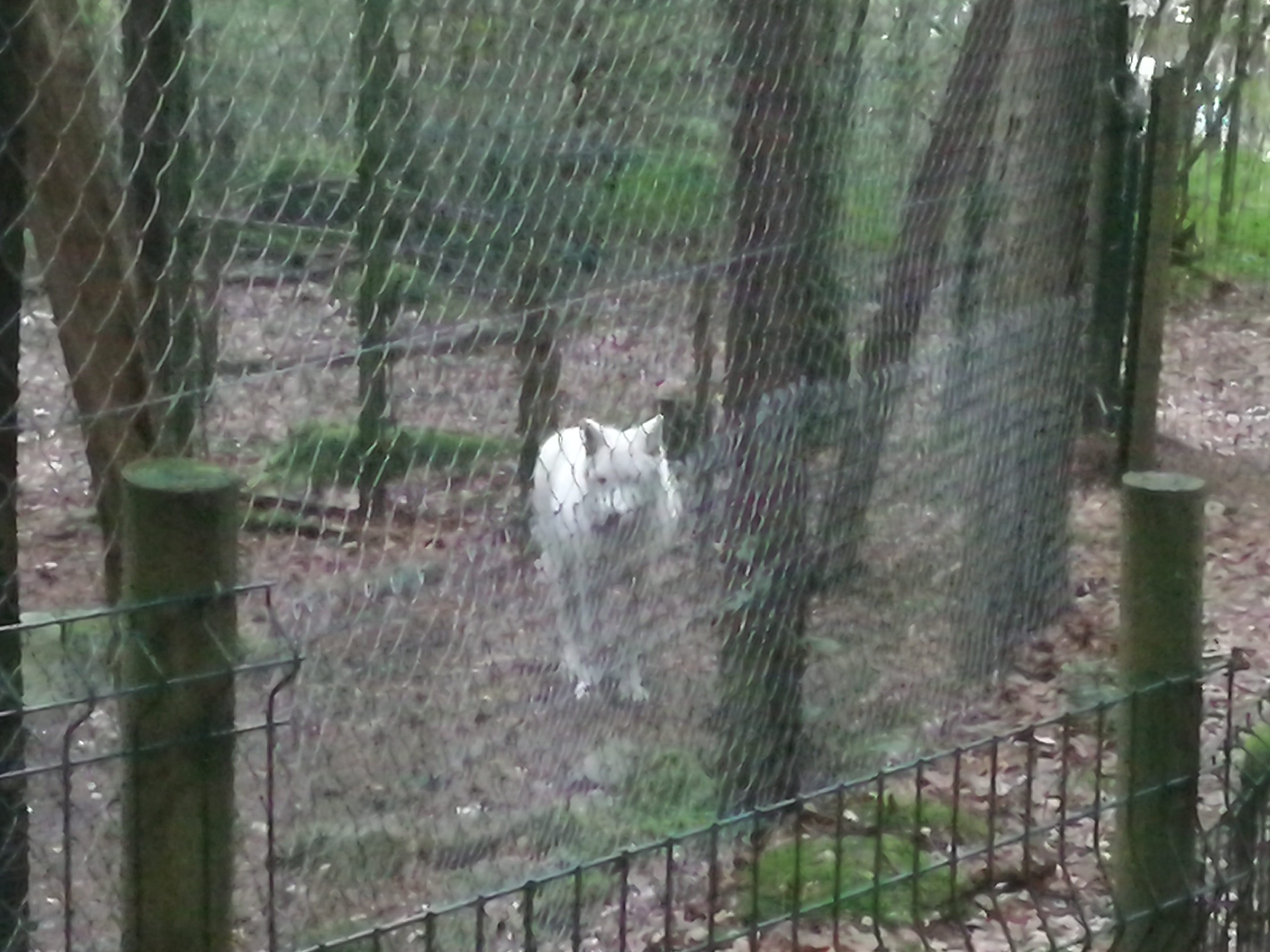 Photo n° 1 de l'avis de Fauvel.l fait le 02/09/2022 à 16:01