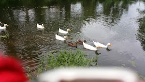 East Kings Highway Park - photo 80