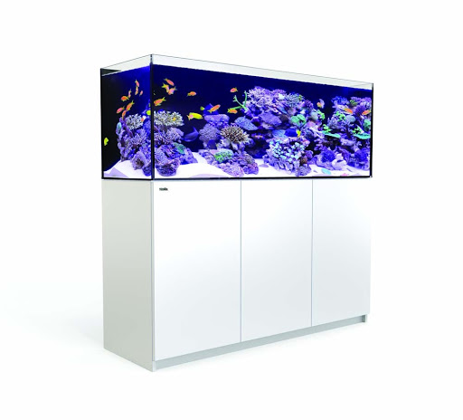 Pet Store «Corals and Fins», reviews and photos, 5011 W Hillsborough Ave, Tampa, FL 33634, USA