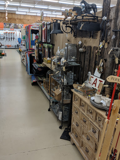 Shopping Mall «Ashland Hanover Shopping Center», reviews and photos, 215 N Washington Hwy, Ashland, VA 23005, USA