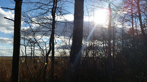 Nature Preserve «Edwin B. Forsythe National Wildlife Refuge- deCamp Wildlife Trail», reviews and photos, 365 Mantoloking Rd, Brick, NJ 08723, USA