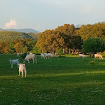 Photo n°2 de l'avis de Carlo.. fait le 14/05/2022 à 20:39 sur le  Casamediterranea B & B on the promontory of Sperlonga à Itri