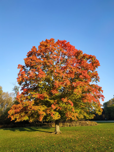 Nature Preserve «Schiller Woods East», reviews and photos, W Irving Park Rd, Chicago, IL 60634, USA