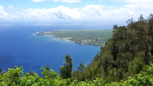 Drug Store «Walgreens», reviews and photos, 1215 16th St, Bedford, IN 47421, USA