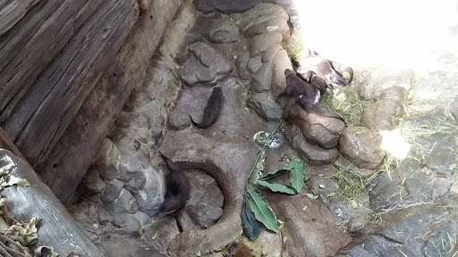 Gift Shop «Minnesota Zoo Gift Shop», reviews and photos, 13000 Zoo Blvd, Apple Valley, MN 55124, USA