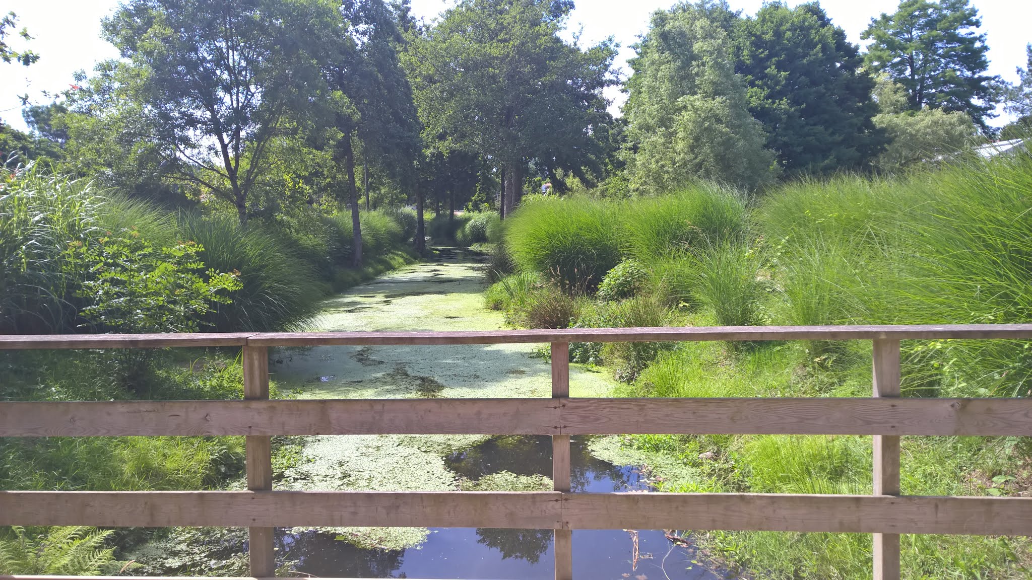 Photo n° 1 de l'avis de Jean-Marc.h fait le 15/07/2018 à 06:48