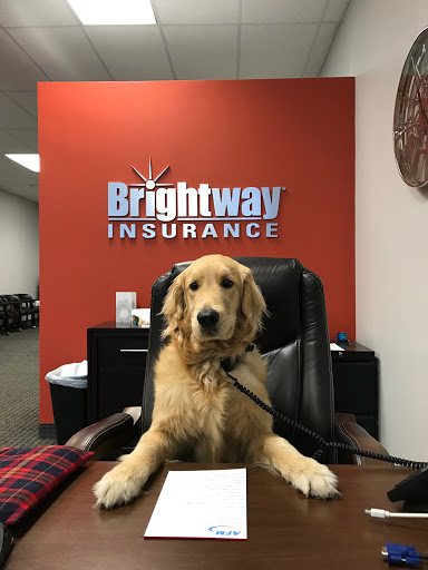 Auto Insurance Agency «Brightway, The Ganim Agency», reviews and photos