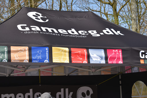 Gamedog in Aabenraa, Aabenraa