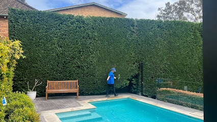 AAA Hedge Trimming Service Sydney - Hedge Trimming - Tree Trimming -
