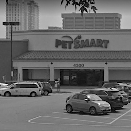 Pet Supply Store «PetSmart», reviews and photos, 4300 E Alameda Ave, Glendale, CO 80246, USA