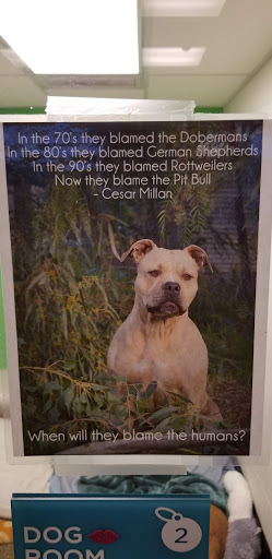 Animal Shelter «One of A Kind Pet Rescue», reviews and photos, 1929 W Market St, Akron, OH 44313, USA