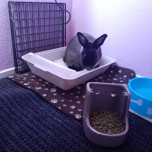 Animal Feed Store «Cerri Family Feed», reviews and photos, 2949 S Airport Way, Stockton, CA 95206, USA