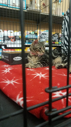 Pet Supply Store «Petco Animal Supplies», reviews and photos, 2095 N Harris Blvd, Layton, UT 84041, USA