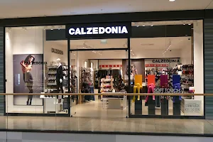 Calzedonia image