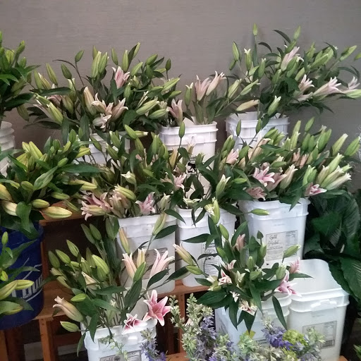 Florist «A Daisy A Day», reviews and photos, 749 Silas Creek Pkwy, Winston-Salem, NC 27127, USA