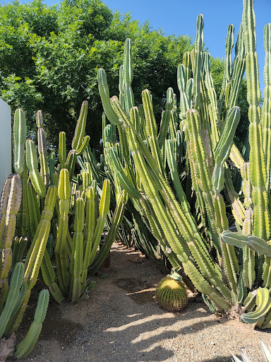 Coffee Shop «The Coffee Shop», reviews and photos, 3000 E Ray Rd, Gilbert, AZ 85296, USA