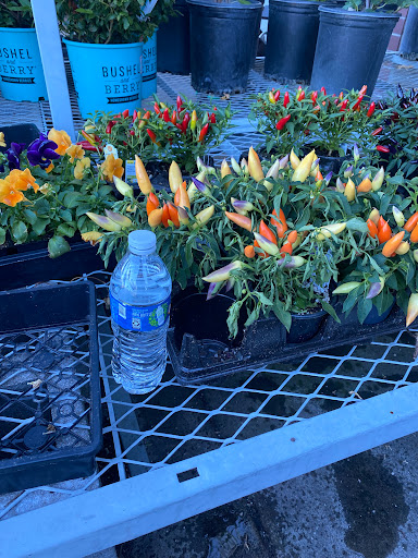 Home Improvement Store «The Home Depot», reviews and photos, 20260 SW Pacific Hwy, Sherwood, OR 97140, USA