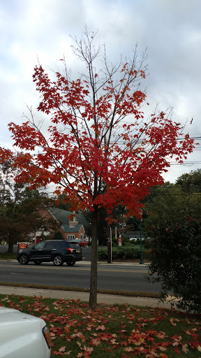 Tire Shop «Firestone Complete Auto Care», reviews and photos, 79 E Mt Pleasant Ave, Livingston, NJ 07039, USA