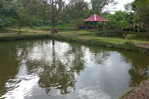 Permakultur Taman Indah image