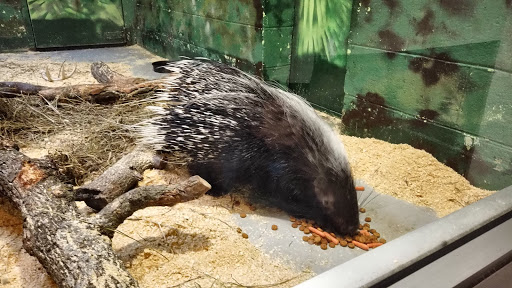 Zoo «Topeka Zoo», reviews and photos, 636 SW Zoo Pkwy, Topeka, KS 66606, USA