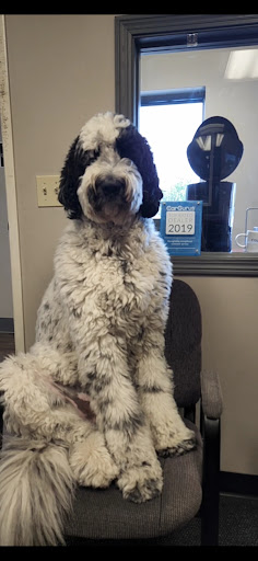 Car Dealer «Auto Haus on Velp», reviews and photos, 1280 Velp Ave, Green Bay, WI 54303, USA