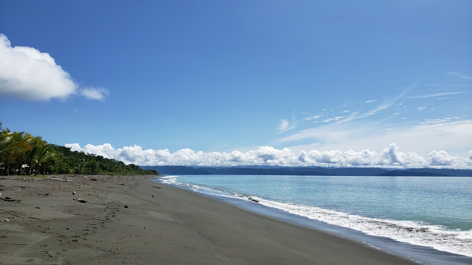 Foto de Playa Platanares ubicado en área natural