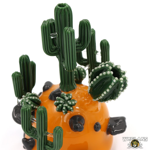 Glass Shop «WHELANS GLASS GALLERY, VAPOR, CIGAR, GIFT & SMOKE SHOP», reviews and photos, 2486 Bancroft Way, Berkeley, CA 94704, USA