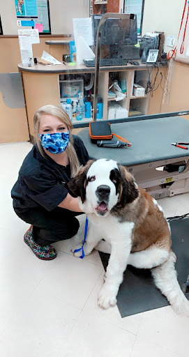 Pet Supply Store «PetSmart», reviews and photos, 3501 Catclaw Dr, Abilene, TX 79606, USA