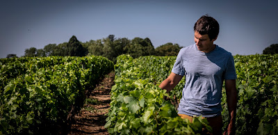Domaine PIGUET GIRARDIN à Auxey-Duresses