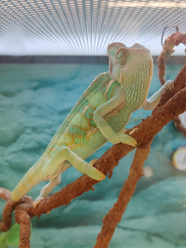 Pet Supply Store «Petco Animal Supplies», reviews and photos, 6425 Keizer Station Blvd, Keizer, OR 97303, USA