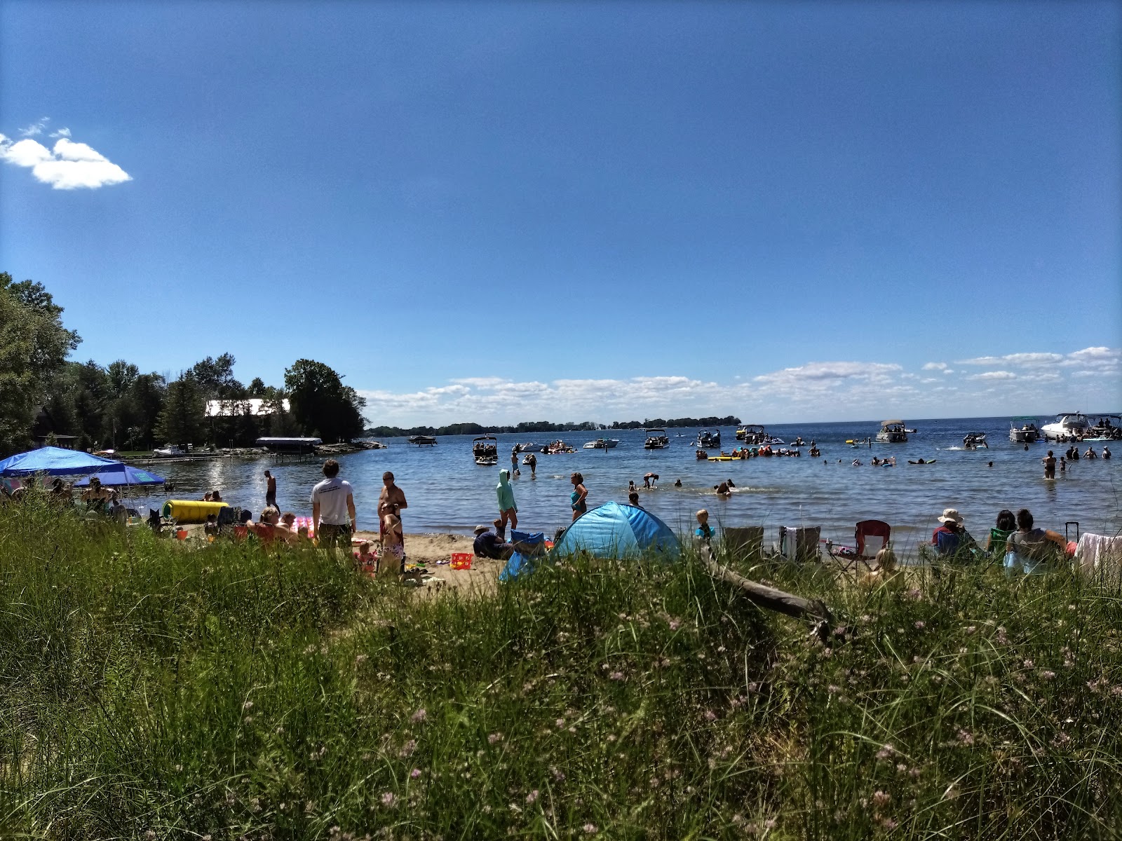 Photo de Haines Beach avec un rivage spacieux