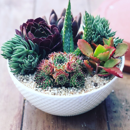 Florist «San Diego Bay Flower Co», reviews and photos, 4822 Santa Monica Ave, San Diego, CA 92107, USA