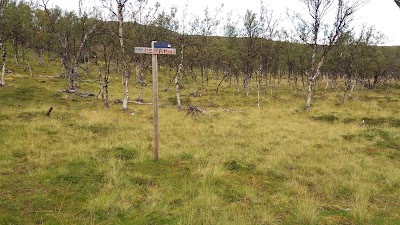 Photos of Langfjorddalen/Laggu naturreservat