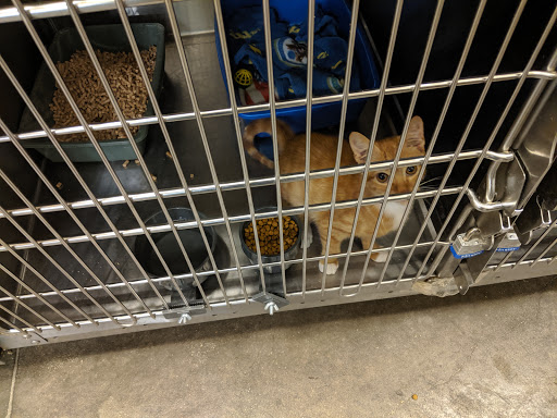 Pet Supply Store «PetSmart», reviews and photos, 5285 Wadsworth Bypass, Arvada, CO 80002, USA