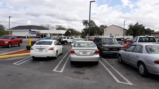 Grocery Store «Save-A-Lot», reviews and photos, 6536 Massachusetts Ave, New Port Richey, FL 34653, USA