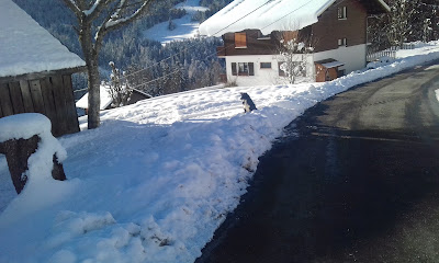 Chalet Le Borget à Les Gets