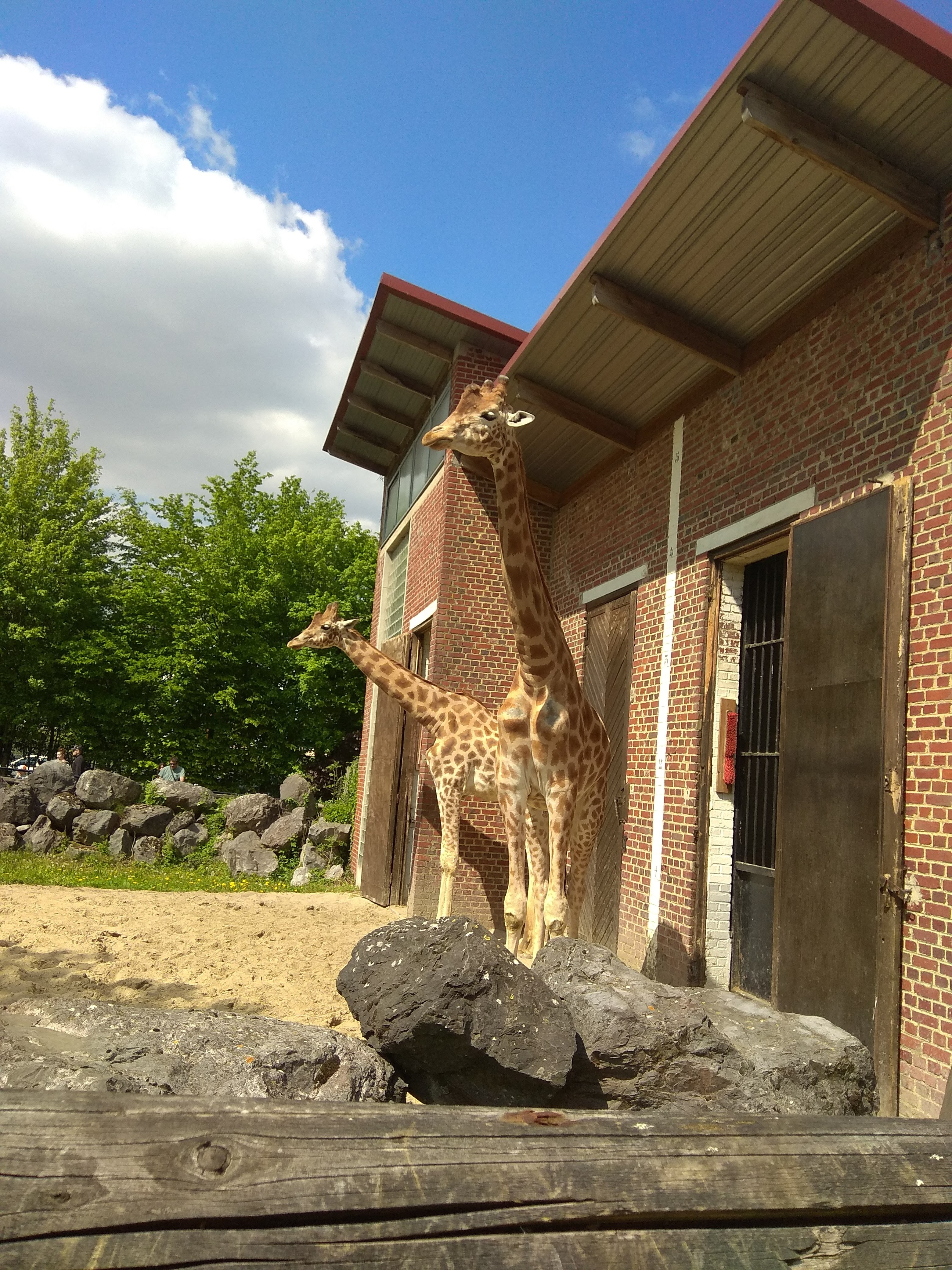 Photo n° 4 de l'avis de louloute.a fait le 05/07/2018 à 09:16