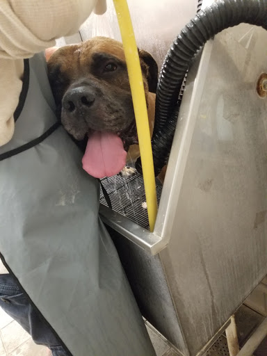 Pet Supply Store «Pet Supplies Plus», reviews and photos, 2202 S Bend Ave Suite 1, South Bend, IN 46635, USA