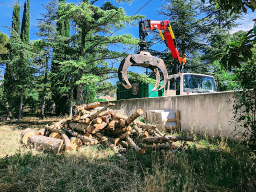Abattage des arbres Marseille