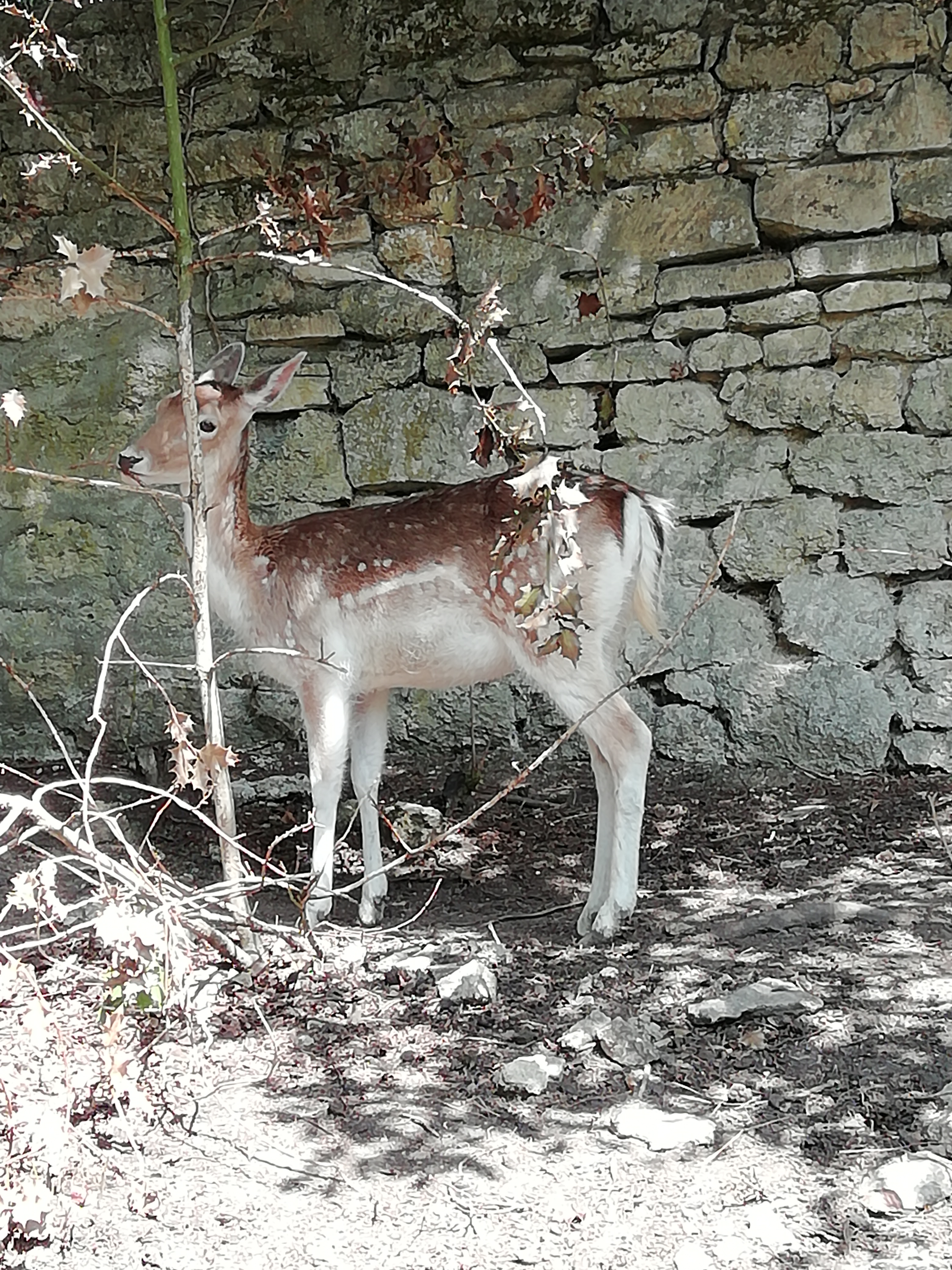 Photo n° 7 de l'avis de Marie.h fait le 17/06/2019 à 19:35