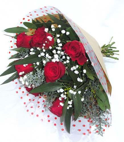 FLOREX Ανθοπωλείο , Καβάλα - Ανθοπωλείο