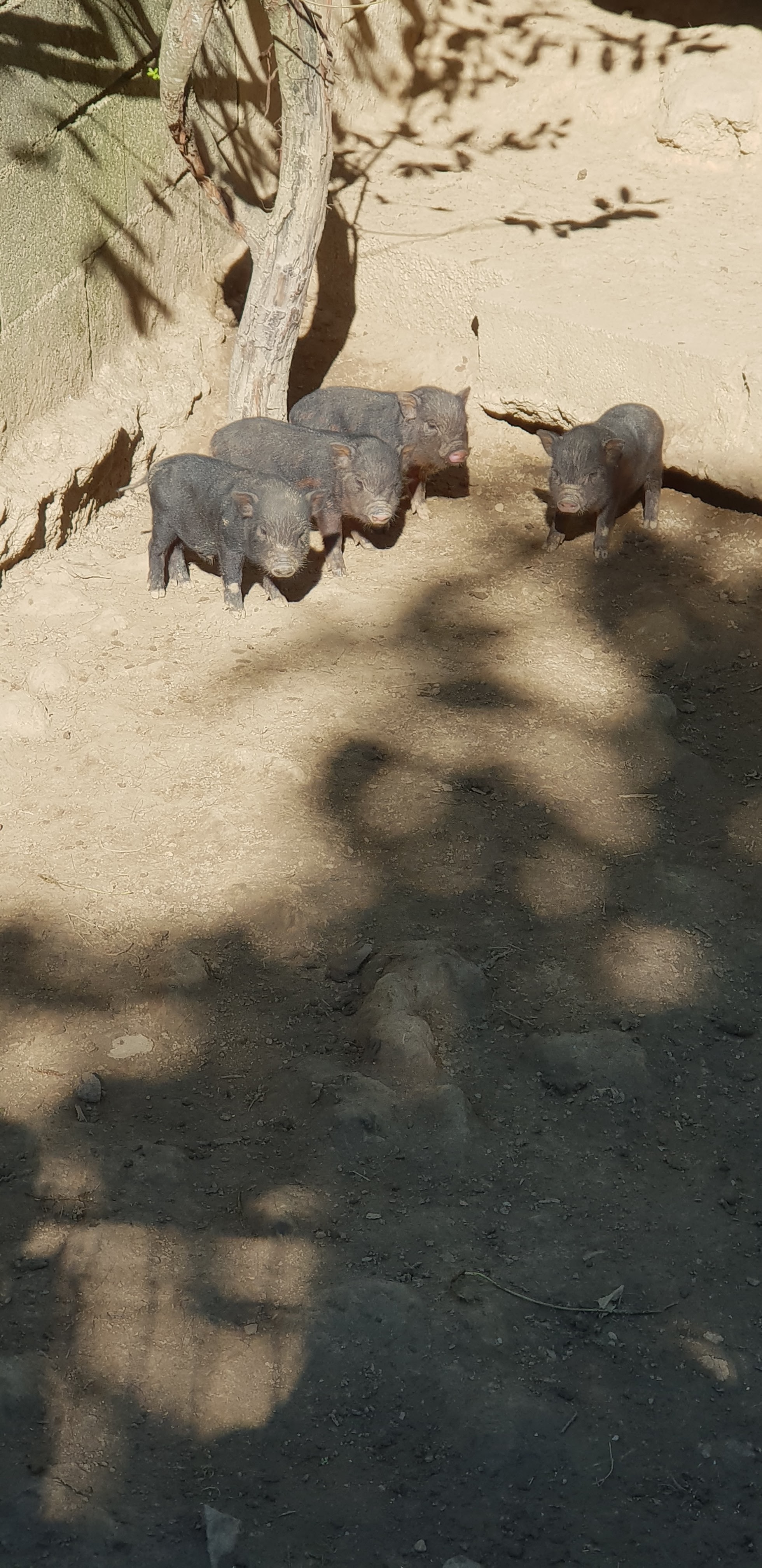 Photo n° 9 de l'avis de Claire.e fait le 21/08/2018 à 21:39