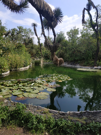 UNAM Botanical Garden
